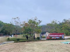 -中山市树木园