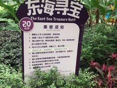 -南宫五洲植物乐园