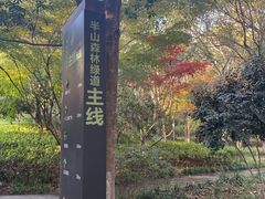 -杭州半山国家森林公园