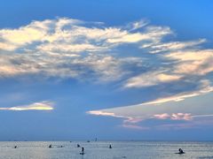 -林海公园