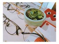 -肆兮眼镜·蔡司·徕卡战略合作店(大坪店)