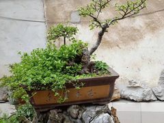 -美味之家·湖景农家乐(太湖东山店)
