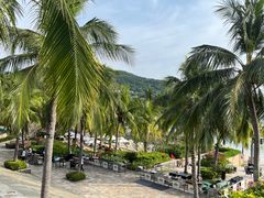 -日落吧·海景咖啡厅·餐酒吧·鸡尾酒·下午茶·乐队表演·浪漫夕阳·三亚文华东方酒店