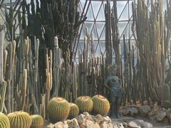 -深圳仙湖植物园