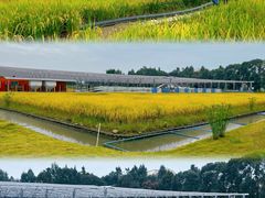 -中国天府农业博览园