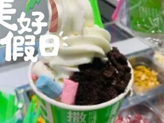 -Salud撒露欧洲冻酸奶(北苑上品店)