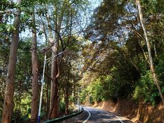 -佛山市三水区大南山森林公园