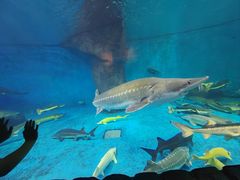 -多彩贵州城极地海洋世界