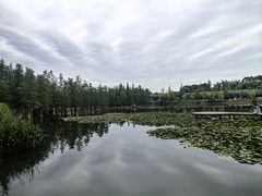 -白鹭湾湿地公园