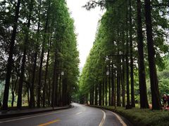 -青城山