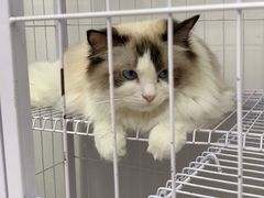 -iF摄影•全家福•证件照•形象照(南山店)