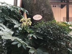 -福建省非物质文化遗产博览苑