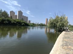 -前关湿地公园