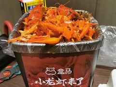 -盒马鲜生(财富领域店)