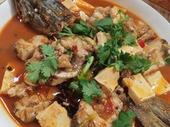 红烧狗鱼-煲来饱去冷水鱼