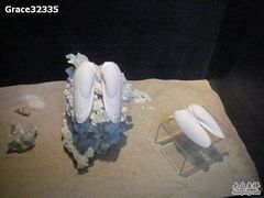 -亚龙湾中心广场·贝壳馆