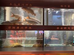 -阿五黄河大鲤鱼(英协路店)