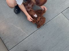 -哈尔滨大剧院