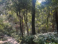 -杭州半山国家森林公园