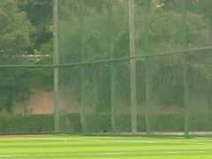 -小赛虎少儿足球培训(南翔校区)