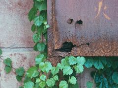 -济南轻骑摩托车有限公司(和平路)