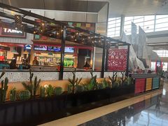 -达拉斯 沃斯堡国际机场