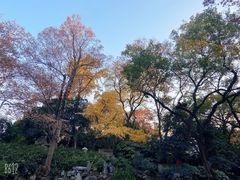 -秋霞圃