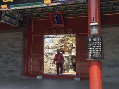 -武清南湖绿博园