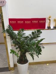 -CICI纤美·科技减肥美容