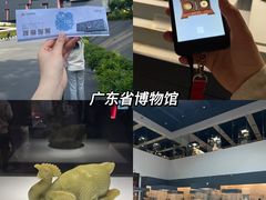 -广东省博物馆