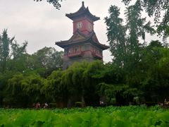 -四川大学(华西校区)