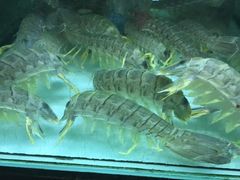 -班赞海鲜市场