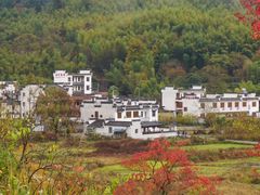 -塔川景区
