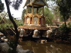 -瑞丽独树成林风景区