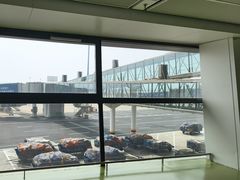 -郑州新郑国际机场-T2航站楼