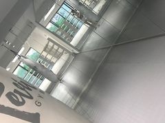 -EFL巴西柔术·综合格斗·泰拳·少儿体能训练(虹桥德必馆)