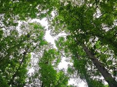 -同里国家湿地公园