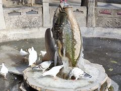 -西安大兴善寺