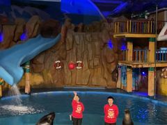 -烟台海昌鲸鲨海洋公园