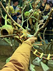 -Zoolung Zoolung动物主题公园(海信广场店)