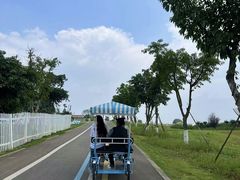 -空港花田景区