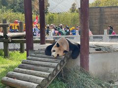 -杭州野生动物世界