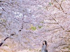 -杭州少年儿童公园