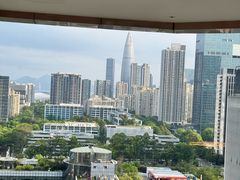 -深圳湾科技园丽雅查尔顿酒店