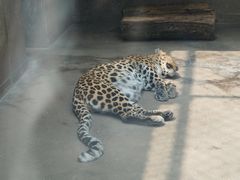 -西安秦岭野生动物园