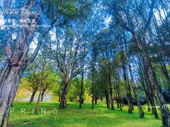 -福建鲤鱼洲酒店