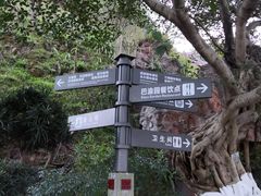 -重庆园博园