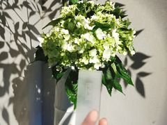 -穹六人间 people 6(岳阳路店)