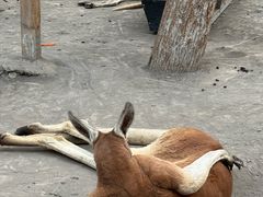 -水上乐园·欢乐世界