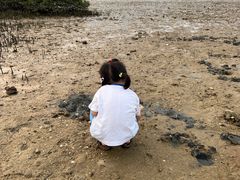 -坝光海滩